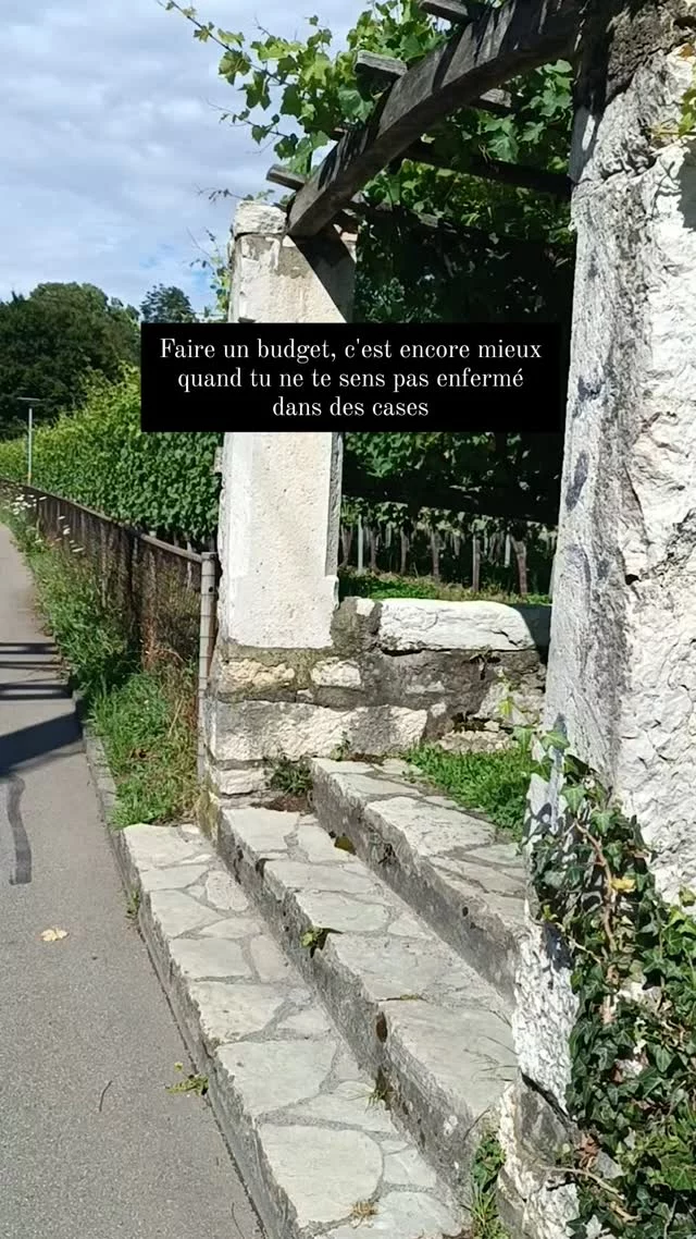Un budget n'a pas à être figé !!
Ajuste-le au fil du mois si besoin. La vie est pleine d'imprévus, ton plan doit pouvoir s'adapter. 
Voici un astuce rapide pour le faire : fais le point de ton budget toutes les 2 semaines. Cela va te donner une bonne idée. Tu as dépasser dans une catégories ? Rééquilibre avec une autre catégorie. Aussi simple que cela. 
Avec cette approche tu te sentiras encore plus en contrôle et sans te sentir bloquée
